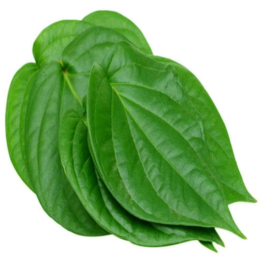 Betel leaf (pan)