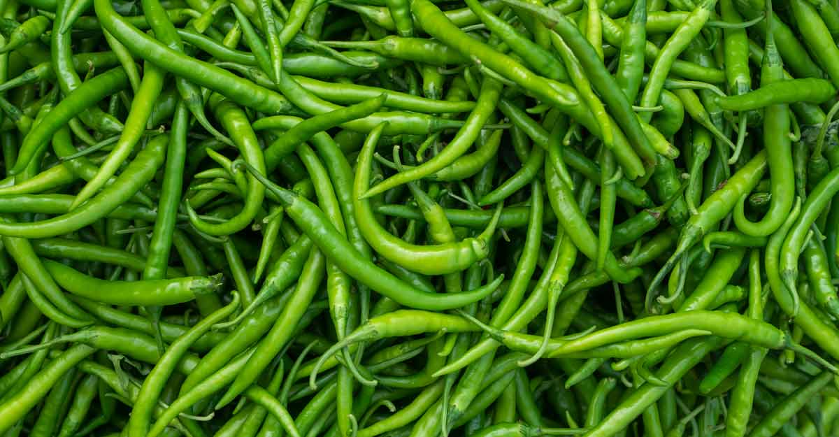 Green chilli (Hari mirchi)