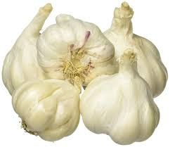 Garlic (lasan)